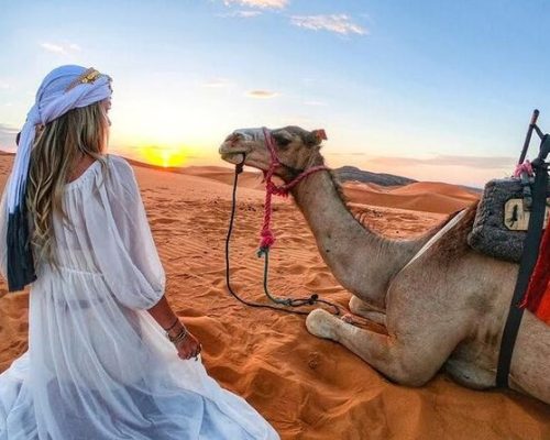 camel2 camel2